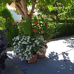 Katerina House Finikounta