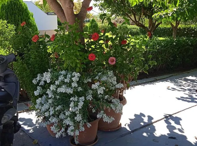 Katerina House Finikounda